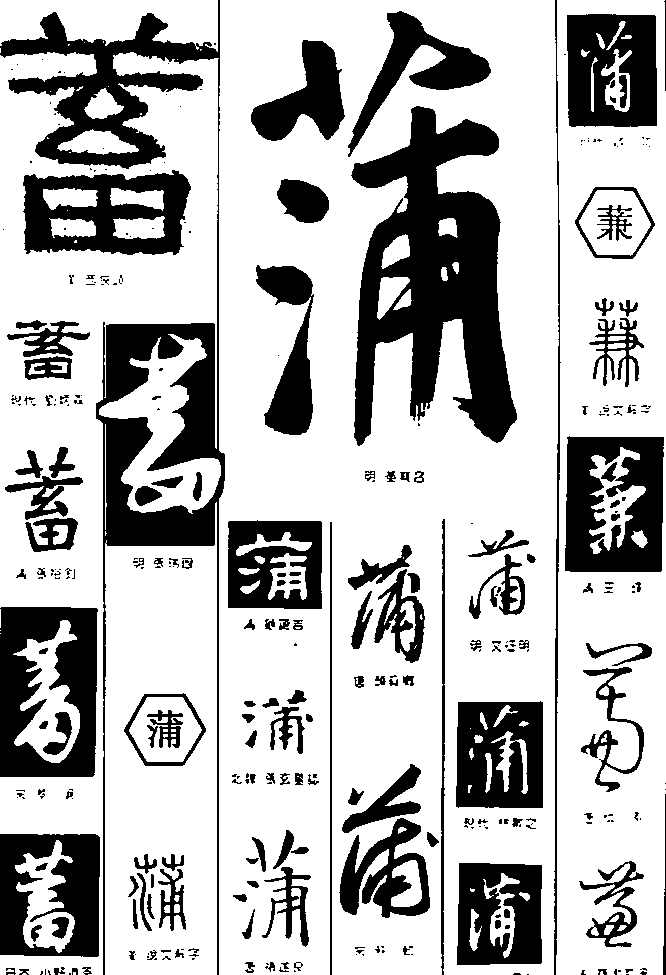 标签: 书法作品毛笔字书法字繁体:蓄蒲